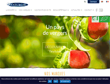 Tablet Screenshot of naturgie.com